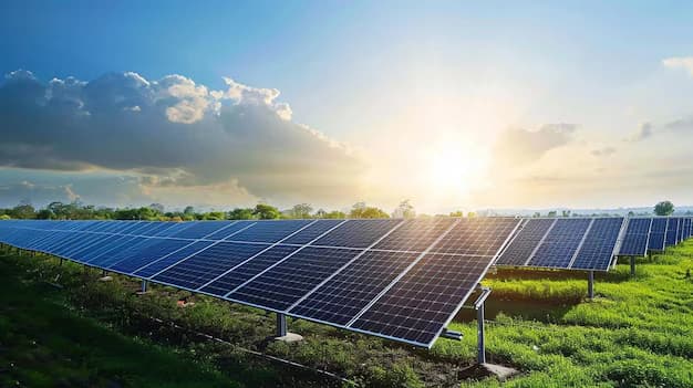 Ground-mounted solar panels in a green field at sunrise