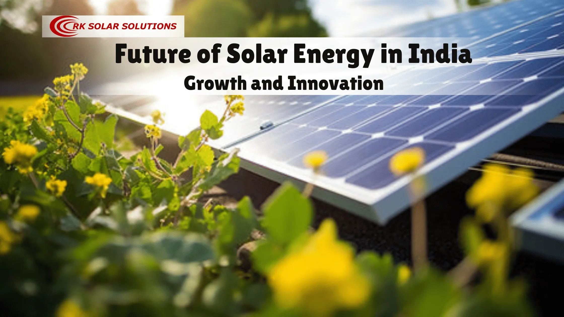 Solar panel among yellow flowers, captioned Future of Solar Energy in India