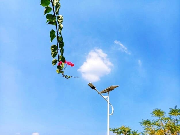 Solar street light with its panel mounted on top of the pole